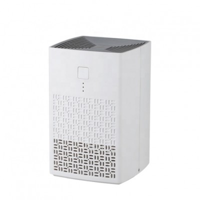 Filters Allergies, Pollen, Smoke, Dust Pet Dander, Mold Odors Negative Ion  Portable  Personal Air Cleaner for Home Office